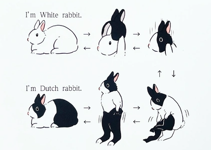 プロフィール背景画像